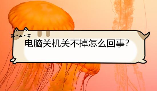 电脑关机关不掉怎么回事